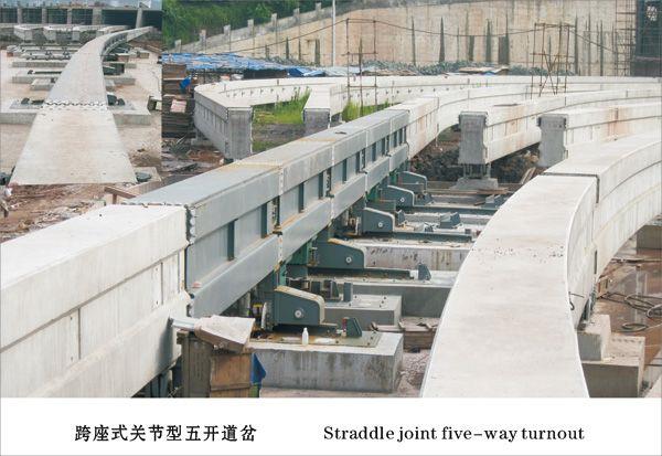 图8跨坐式关节型五开道岔