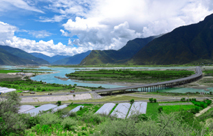 企业愿景