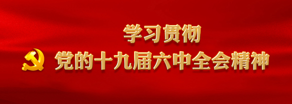 学习贯彻党的十九届六中全会心灵