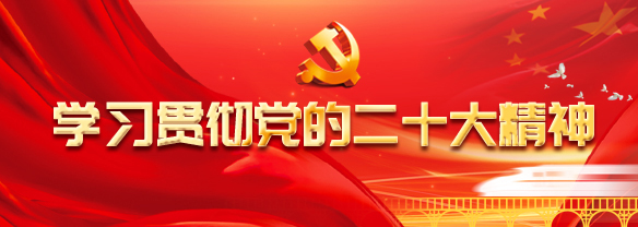 学习贯彻党的二十大心灵